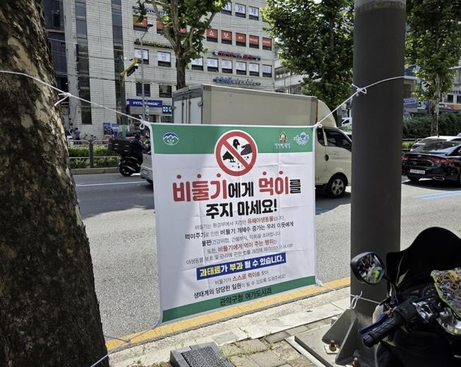 "먹이 안줘야 공존"...