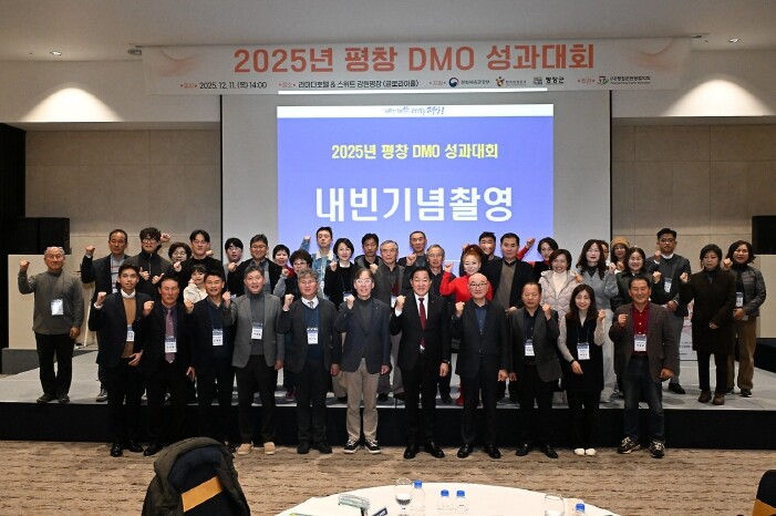 2025년 평창 지역관광 추진조직(D...