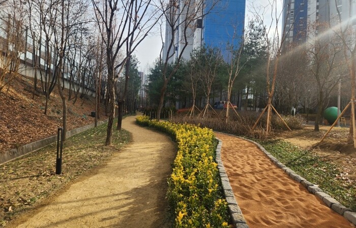 대구 동구, 봉무동 완충녹지 맨발산책...