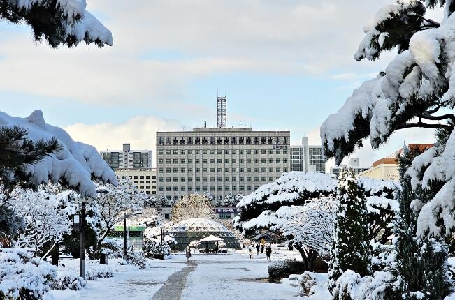 부천시, 문제성 개인방송 대응 위한 ...