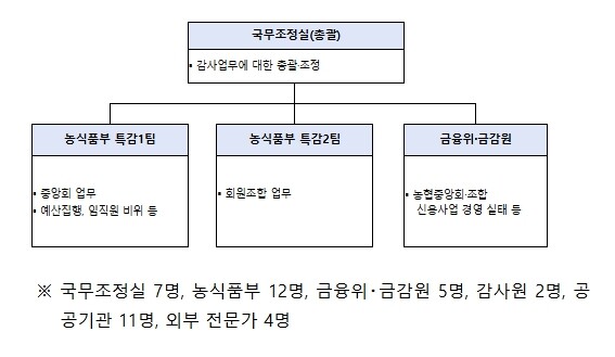 정부합동 특별감사반, 농협중앙회・농협...