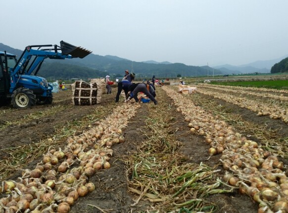 2026년 농업인안전보험 및 농기계종...