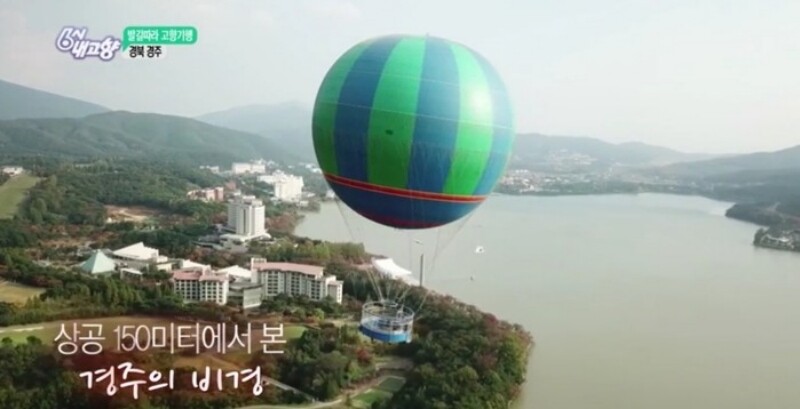 플라잉경주 프로젝트, 시행사 5곳 사...