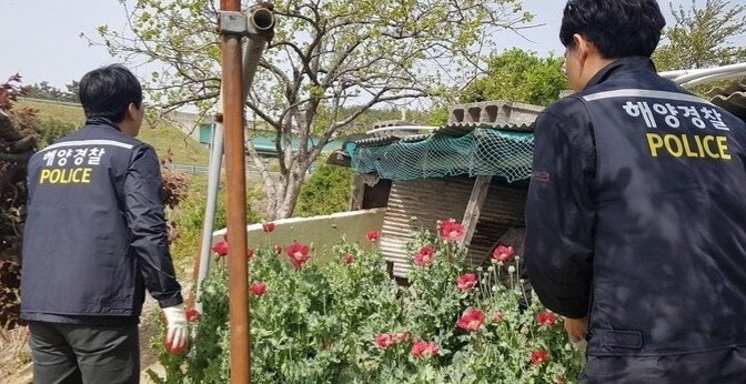 사천해경, 해양 마약류 범죄 집중단속...