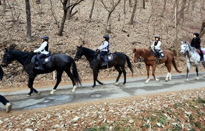[기획] "승마로 배우는 이...
