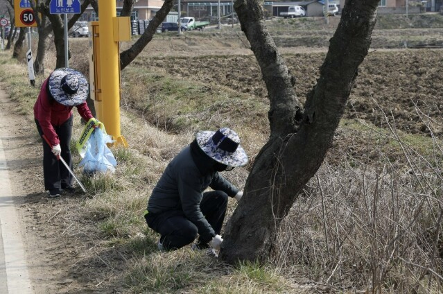 홍성군농촌지도자회, 환경 정화로 저탄...