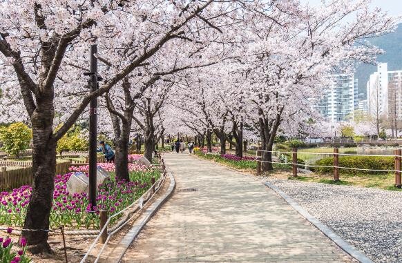 “김해의 봄 길을 걷다” 가볍게 걸으...