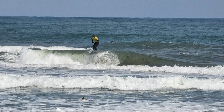 포항 용한 서퍼비치, ‘제8회 메이어...