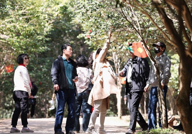 봄의 향연 제3회 강진 백련사 동백축...