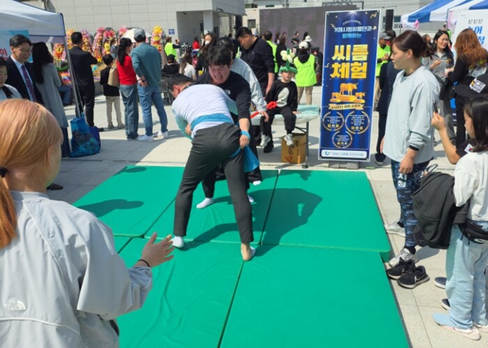 거제시청씨름단, ‘고고한 축제’서 씨...