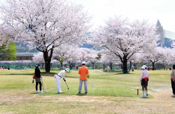 밀양시, 제20회 밀양시장배 전국 파...
