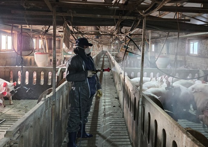 서귀포시, 2026년 축산환경개선사업...