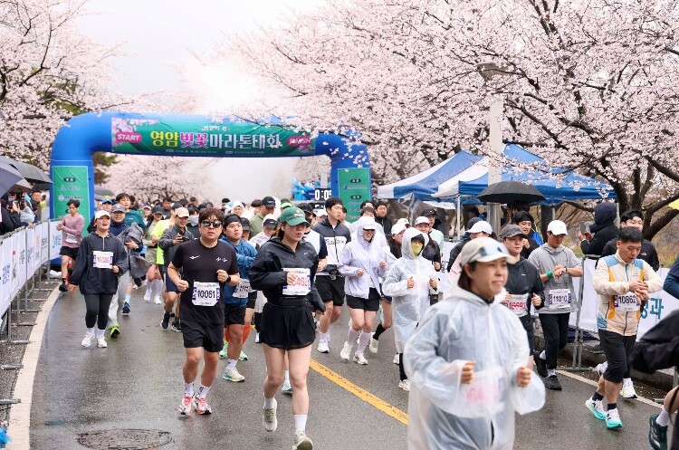 영암 벚꽃마라톤대회 성료... 왕인문...