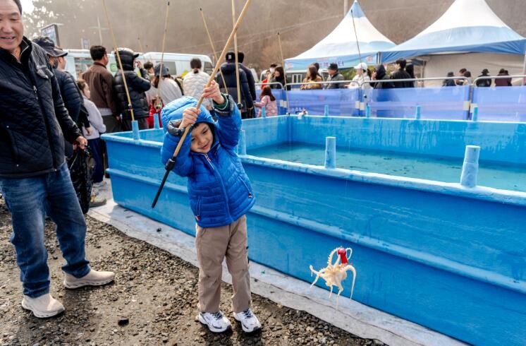 제24회 서천 동백꽃 주꾸미 축제, ...