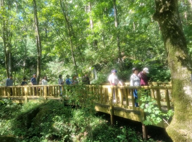 국립횡성숲체원, 장기돌봄활동가 심신안...