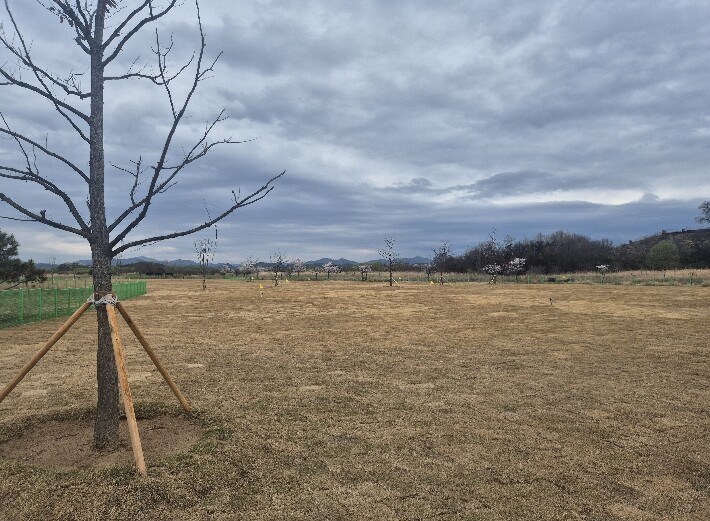 창원특례시, 대산 파크골프장 시설개선...