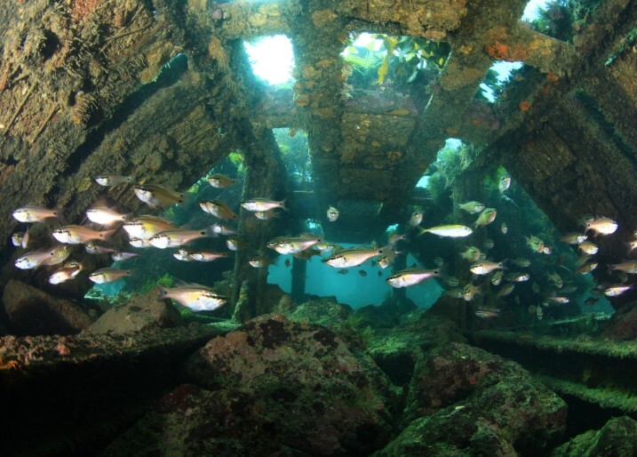 경남도, 10개 해역에 인공어초 투입...