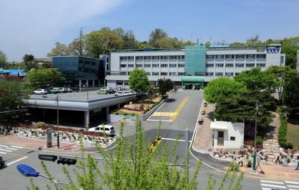 횡성군 봄철 산나물 출하시기 청정 횡...