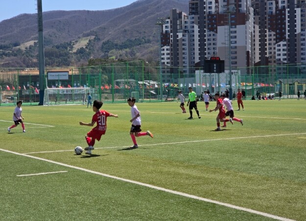 평창군, ‘2026 평창 스토브리그 ...