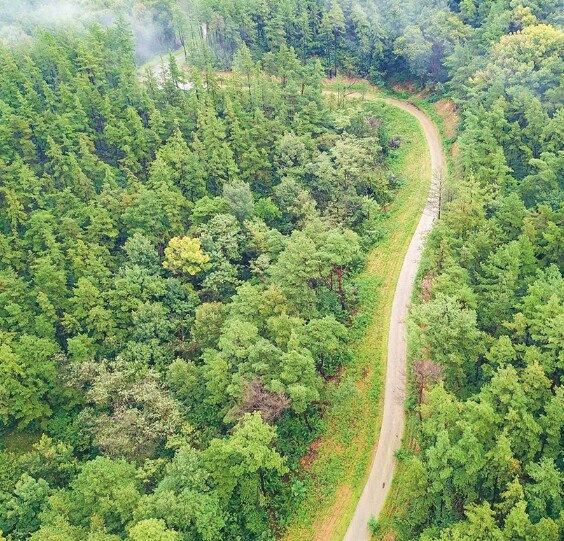 산림청, 안전하고 튼튼한 임도 위한 ...