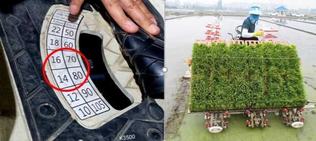 농촌진흥청, 논 활용 사료용 벼 생산...