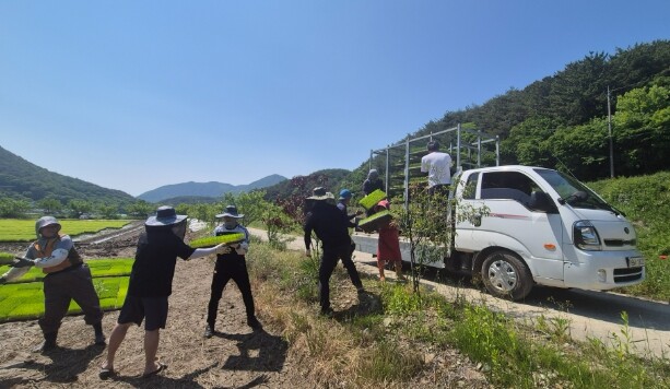 고성군 녹지공원과·산림조합, 대가면 ...