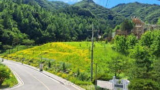 thumbimg