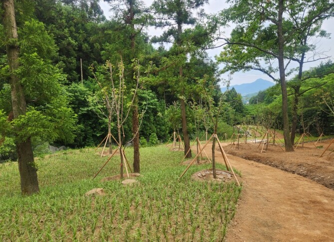 강진군, ‘보은산 산림공원’ 조성으로...