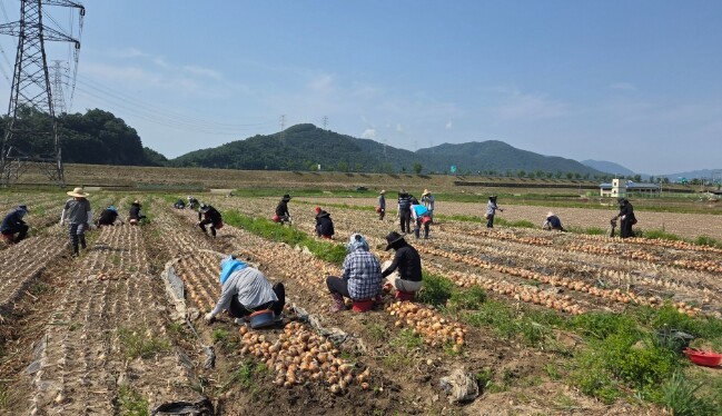 합천군 보건정책과·환경위생과·청덕면 ...