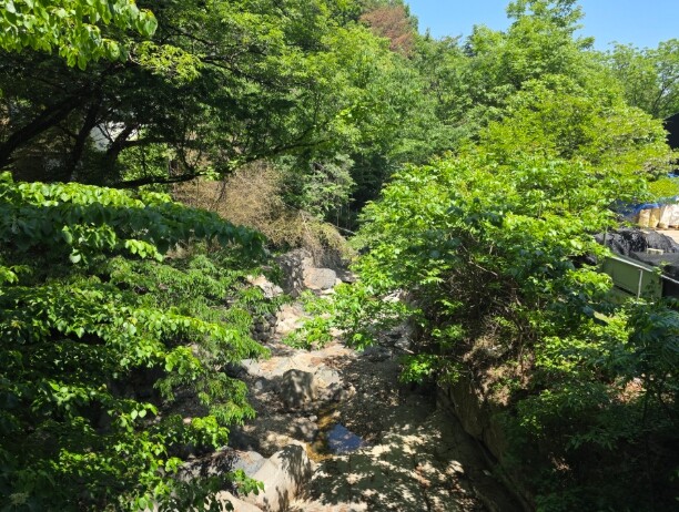 남부지방산림청, 산림 내 하천·계곡 ...