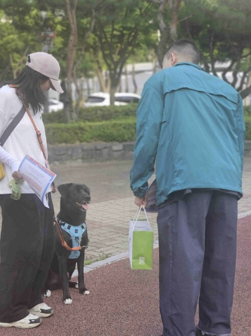 동두천시, 동물등록 자진신고 및 펫티...