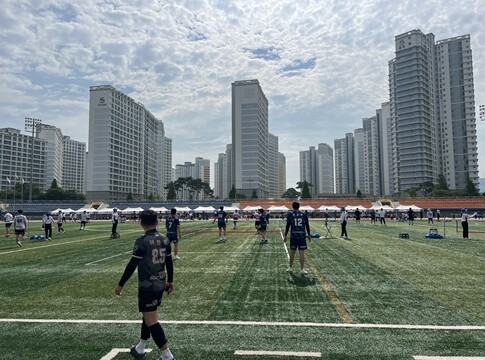 김해시, 전국 유소년 축구대회·영남 ...