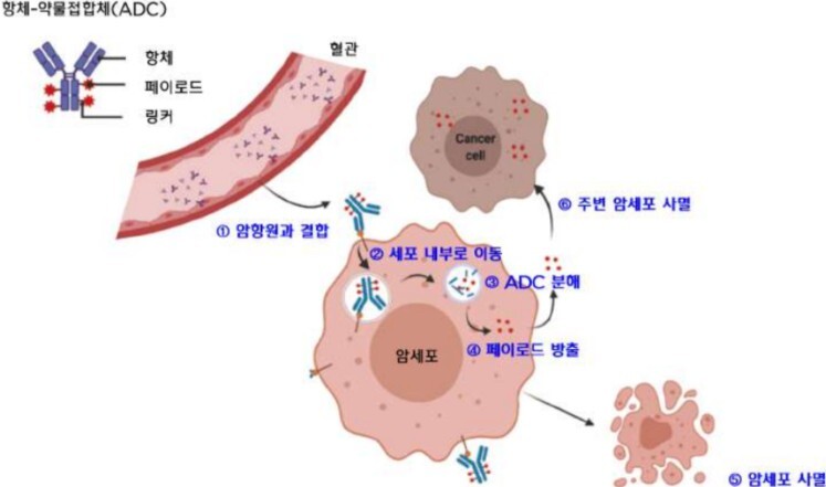 금융위원회, 국민성장펀드가 바이오·방...