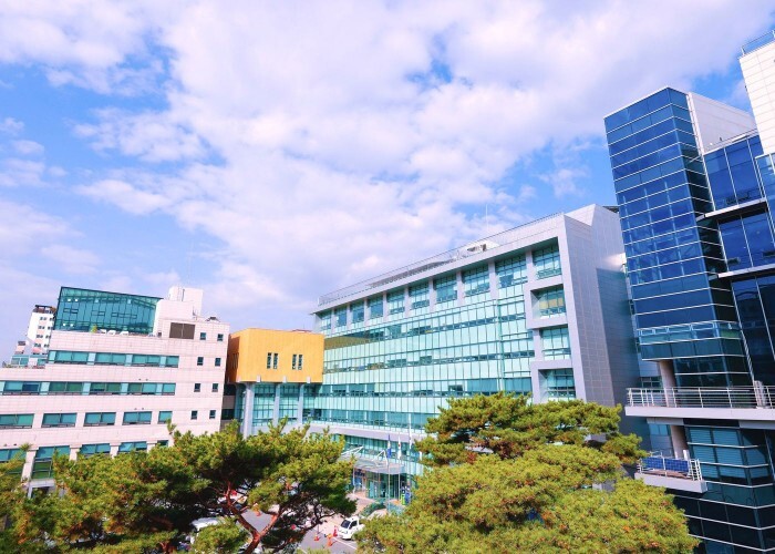 ‘적극행정 5년 연속 우수’ 은평구,...