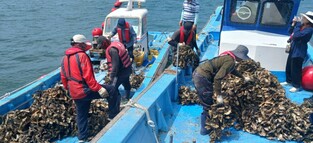 thumbimg