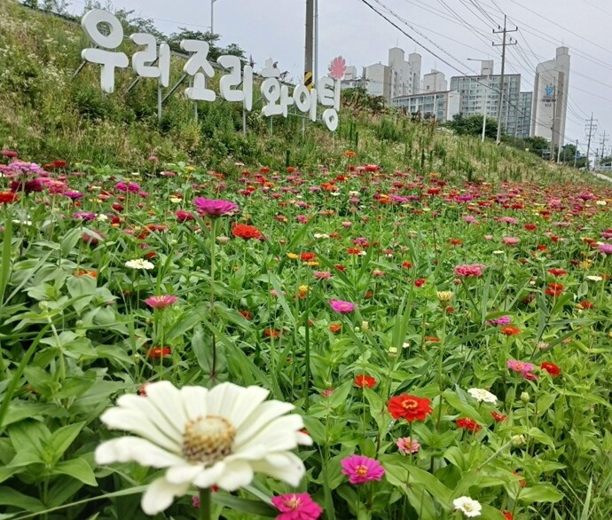파주시 조리읍, 공릉천 수변공원 백일...