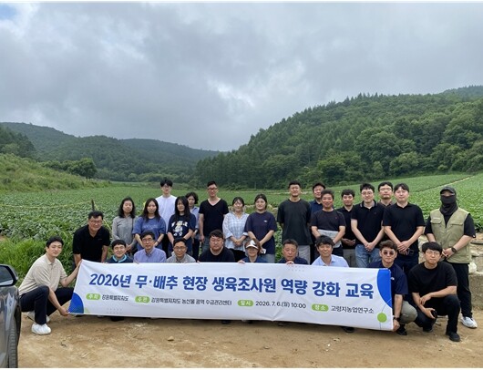 강원특별자치도, 무·배추 생육조사 전...