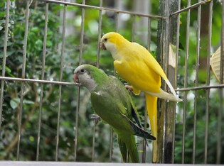 thumbimg
