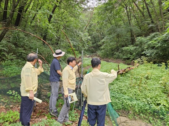 북부지방산림청, 집중호우 산림피해 일...