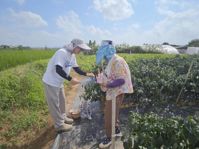 “여름철 농업재해 예방 총력”…함평군...