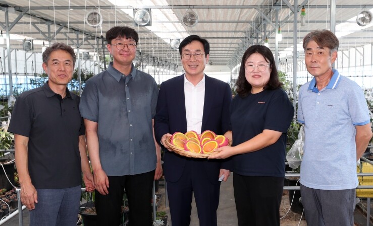 이장섭 청주시장, 애플망고 첫 수확 ...