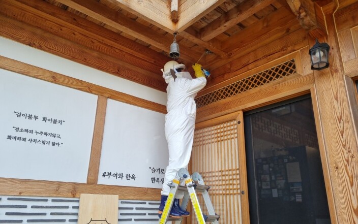 충남소방본부, 벌 쏘임 구급 출동 연...