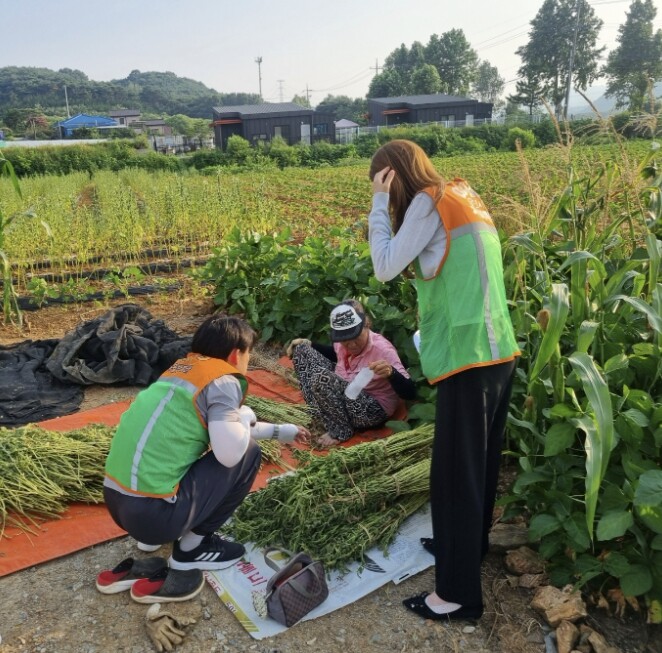 당진시자율방재단, 폭염 인명피해 예방...