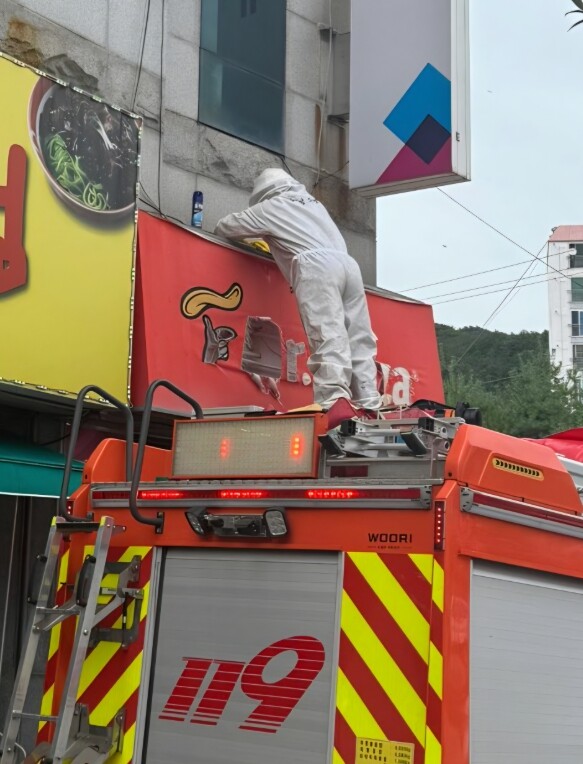 해남소방서, 폭염기 벌(집) 제거 출...