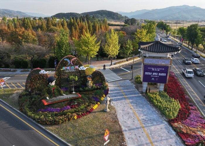경북도, 2026년 가로수 조성‧관리...