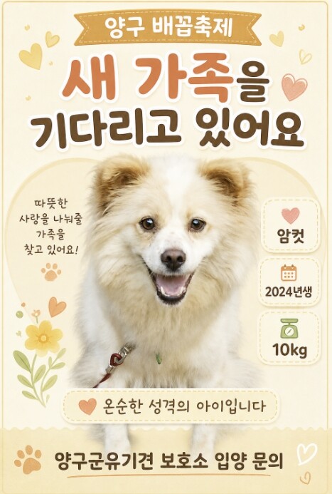 양구군 