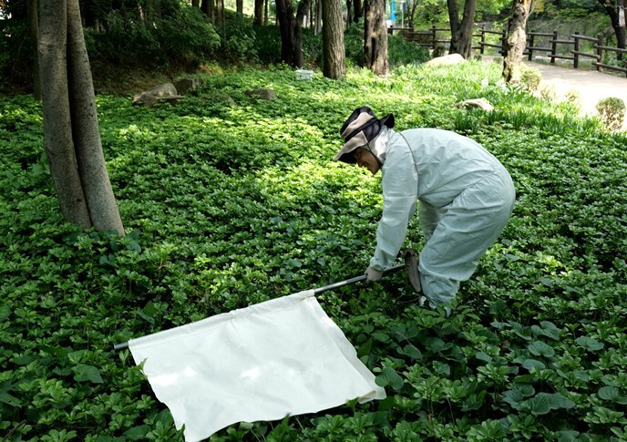 서울시보건환경연구원, 가을 나들이철 ...