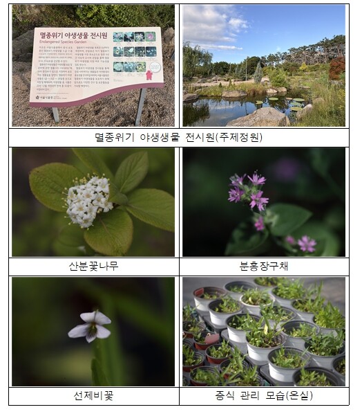 서울식물원, 서울 지역 첫 서식지외보...