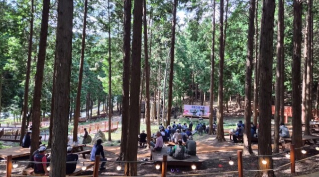 진도군, 운림산림욕장에서 ‘숲속 힐링...