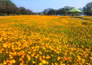 thumbimg